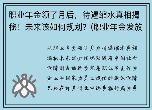 职业年金领了月后，待遇缩水真相揭秘！未来该如何规划？(职业年金发放规定)